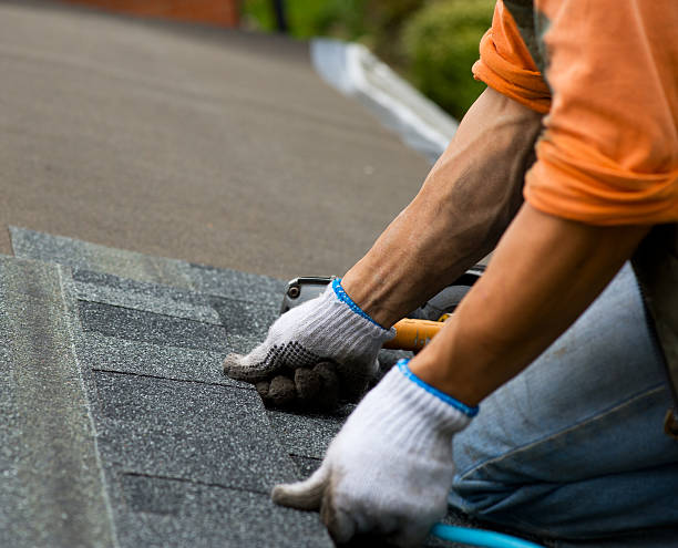 Best Roof Leak Repair  in Grosse Pointe Park, MI