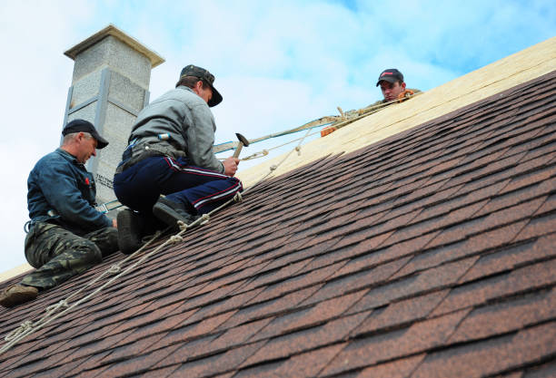 Quick and Trustworthy Emergency Roof Repair Services in Grosse Pointe Park, MI