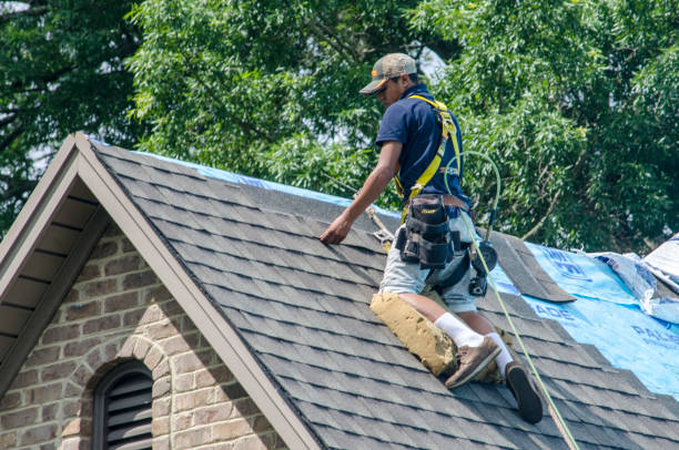 Best Metal Roofing Contractor  in Grosse Pointe Park, MI